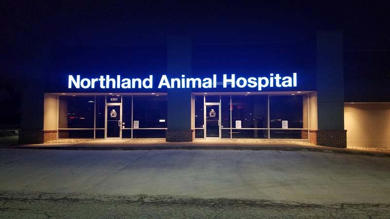 Kansas City Veterinary Hospital
