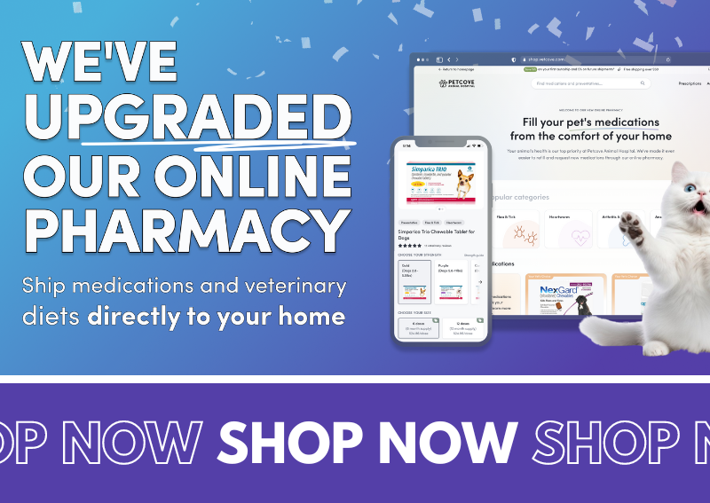 Carousel Slide 2: Visit our new and improved online pet pharmacy!