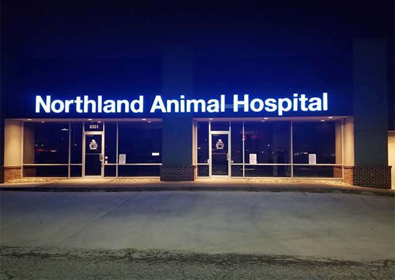 Carousel Slide 1: Northland Animal Hospital